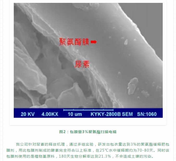 聚氨酯緩釋肥的釋放機理